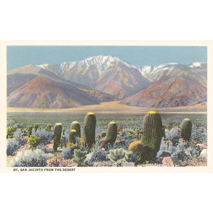 Mt. San Jacinto Cactus Greeting Card