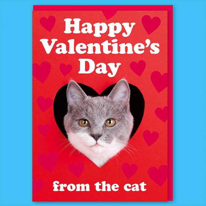 Happy Valentine's Day From The Cat Greeting Card