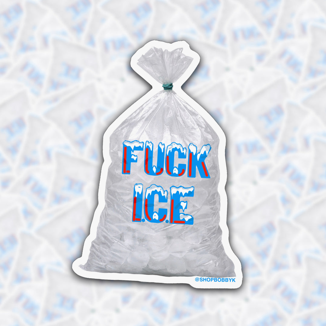 Die Cut Sticker: Fuck Ice