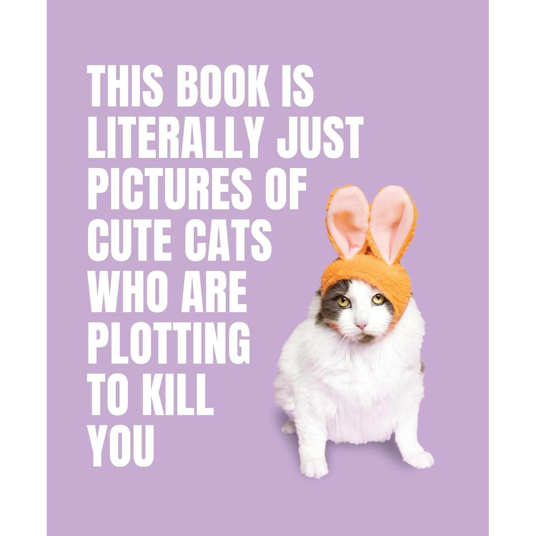 This Book Is Literally Just Pictures Of Cute Cats Who Are Plotting To Kill You