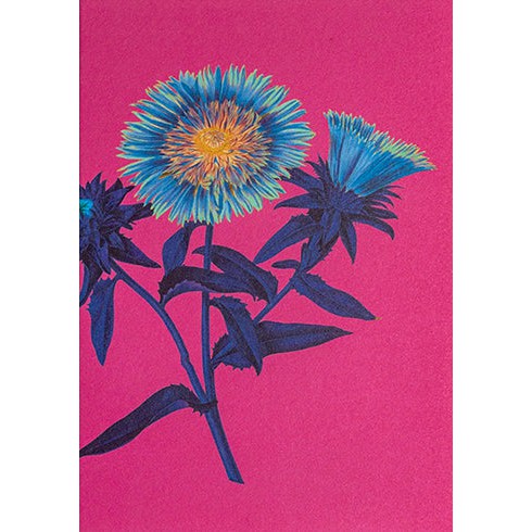 Cornflower Blank Greeting Card