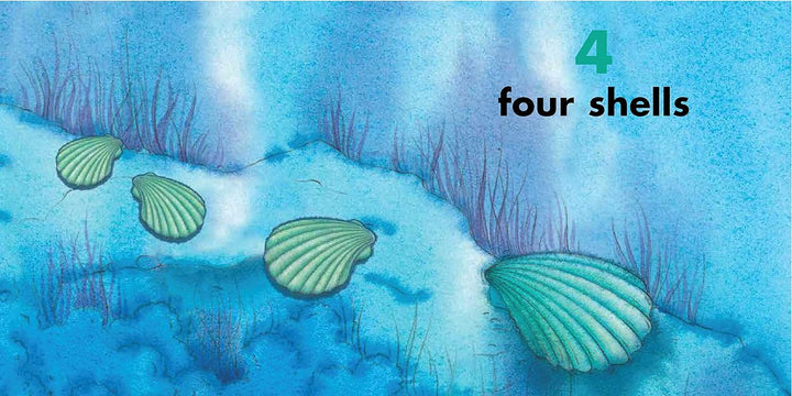 The Rainbow Fish Counting