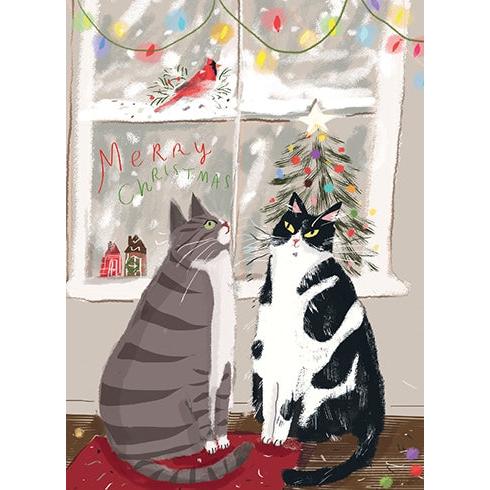 Cats And Cardinal Holiday Card