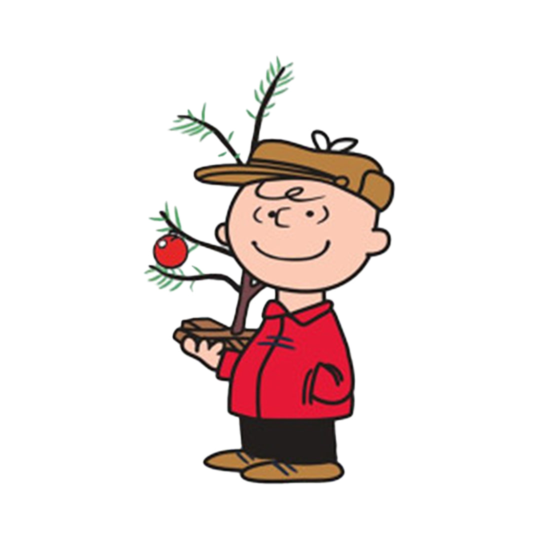 Peanuts© Two Sided Window Clings - Charlie Brown