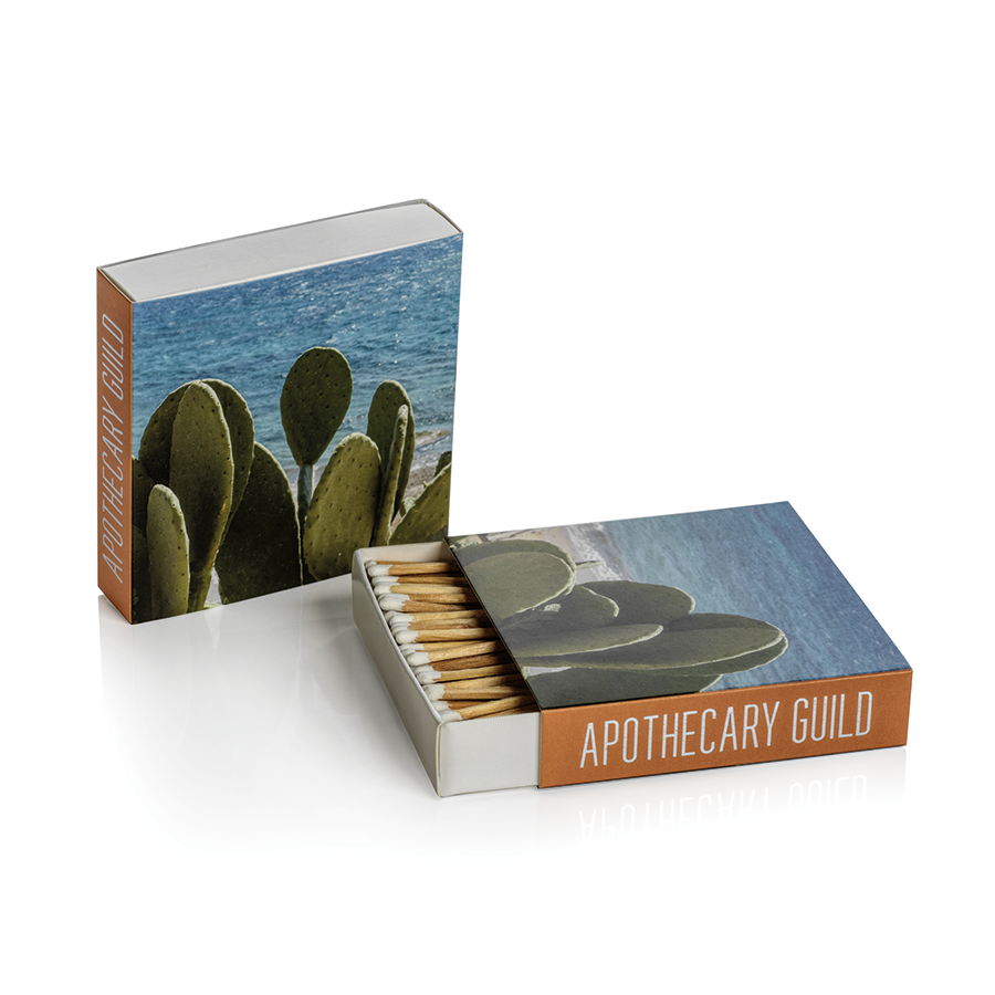 Mykonos Cactus Match Box