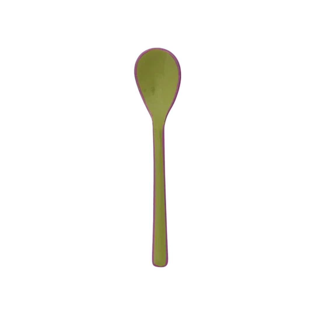Enameled Stainless Steel Salt & Pepper Spoon - Green With Hot Pink Trim