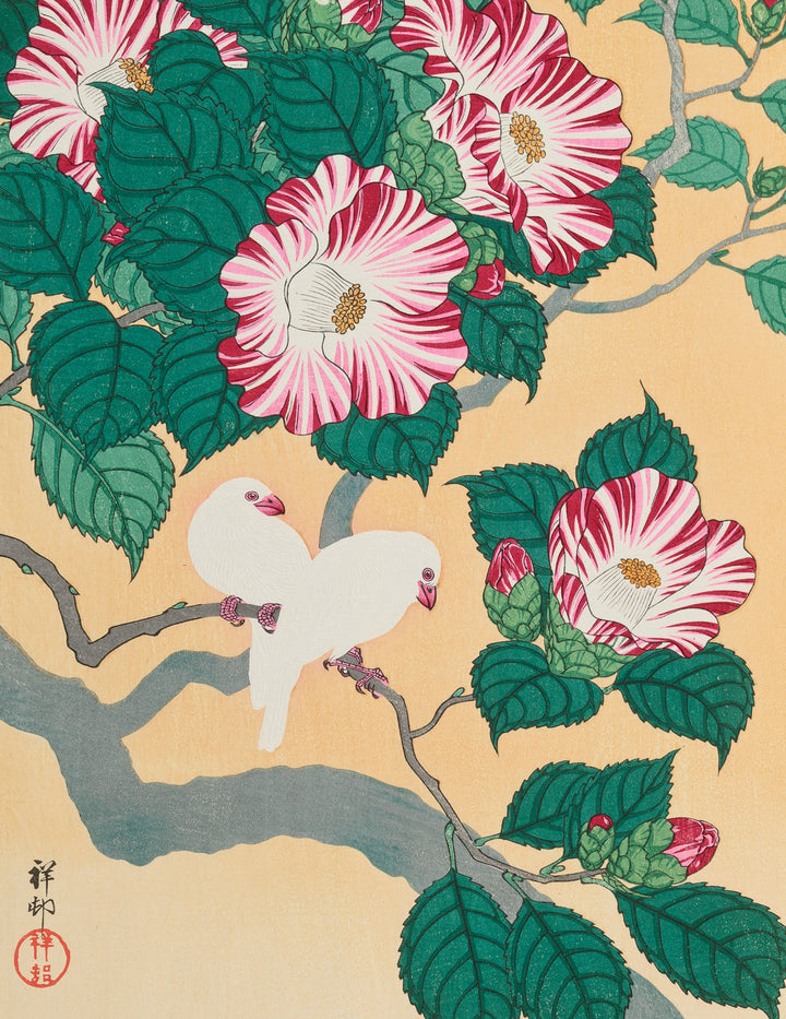 Ohara Shoson Keepsake Boxed Notecards