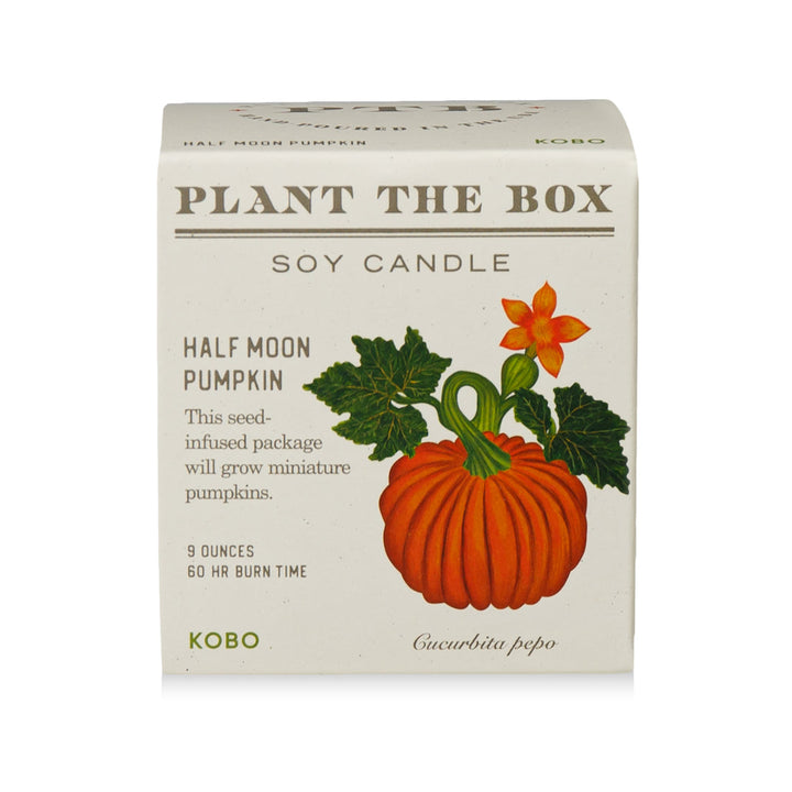 Half Moon Pumpkin Plant The Box Candle
