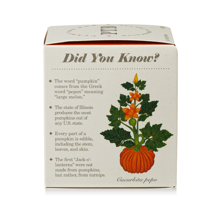 Half Moon Pumpkin Plant The Box Candle