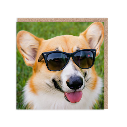 Corgi In Sunnies Blank Greeting Card