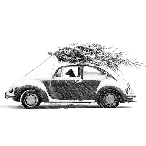 Fritz Holiday Card