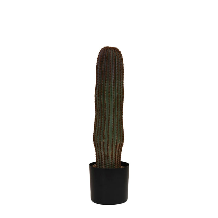 Faux Vatricania Cactus In Plastic Pot