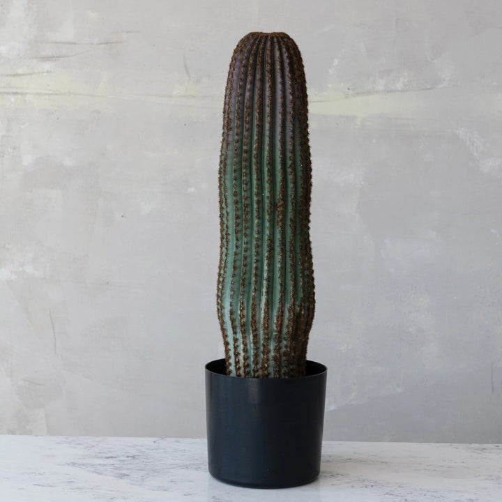 Faux Vatricania Cactus In Plastic Pot