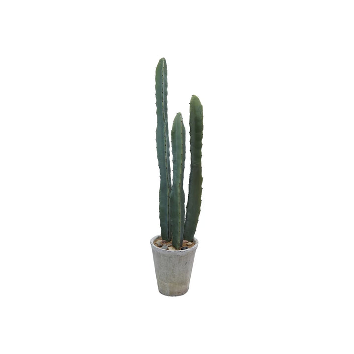 Faux Euphorbia Cactus In Plastic Pot