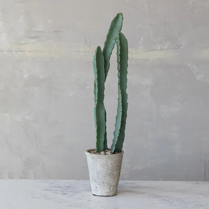 Faux Euphorbia Cactus In Plastic Pot