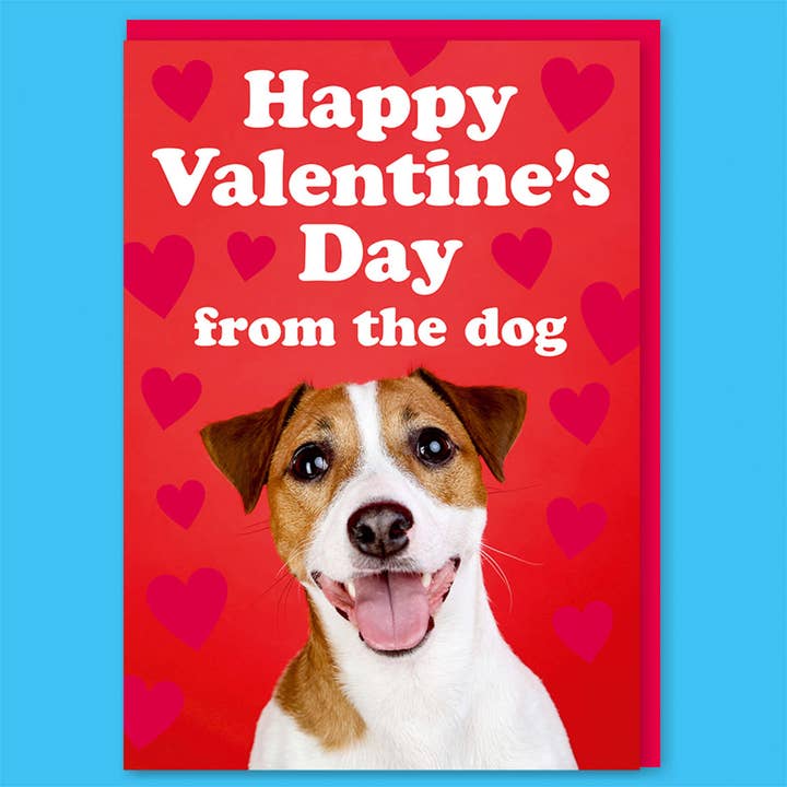 Happy Valentine's Day From The Dog Greeting Card