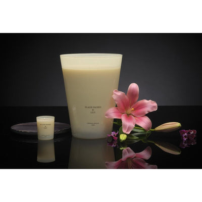 Black Orchid & Lily 7.7 lb. 4-Wick XXL Candle