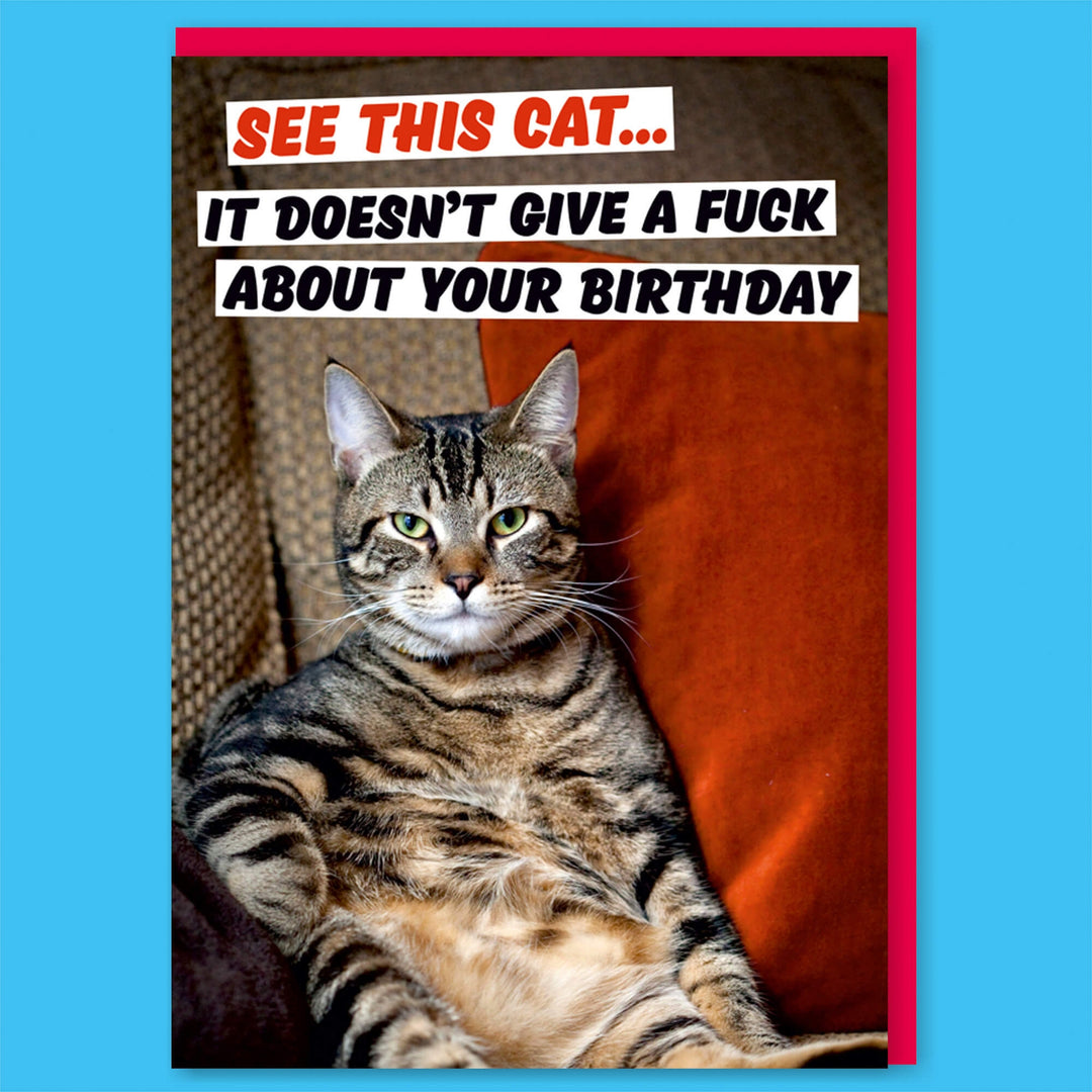 See This Cat. It Doesn't Give A F*** About Your Birthday Birthday Card