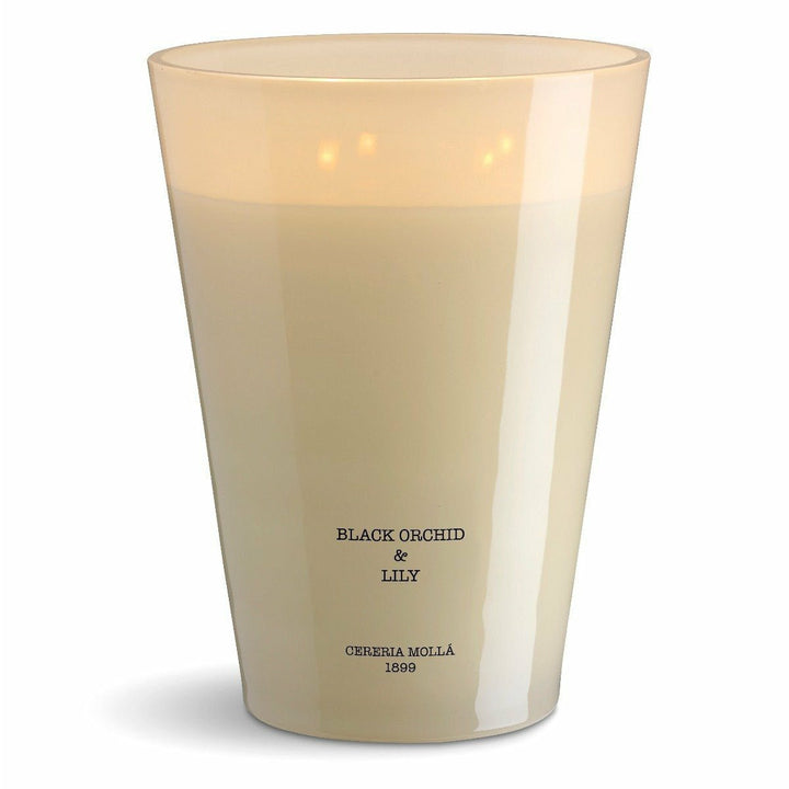Black Orchid & Lily 7.7 lb. 4-Wick XXL Candle