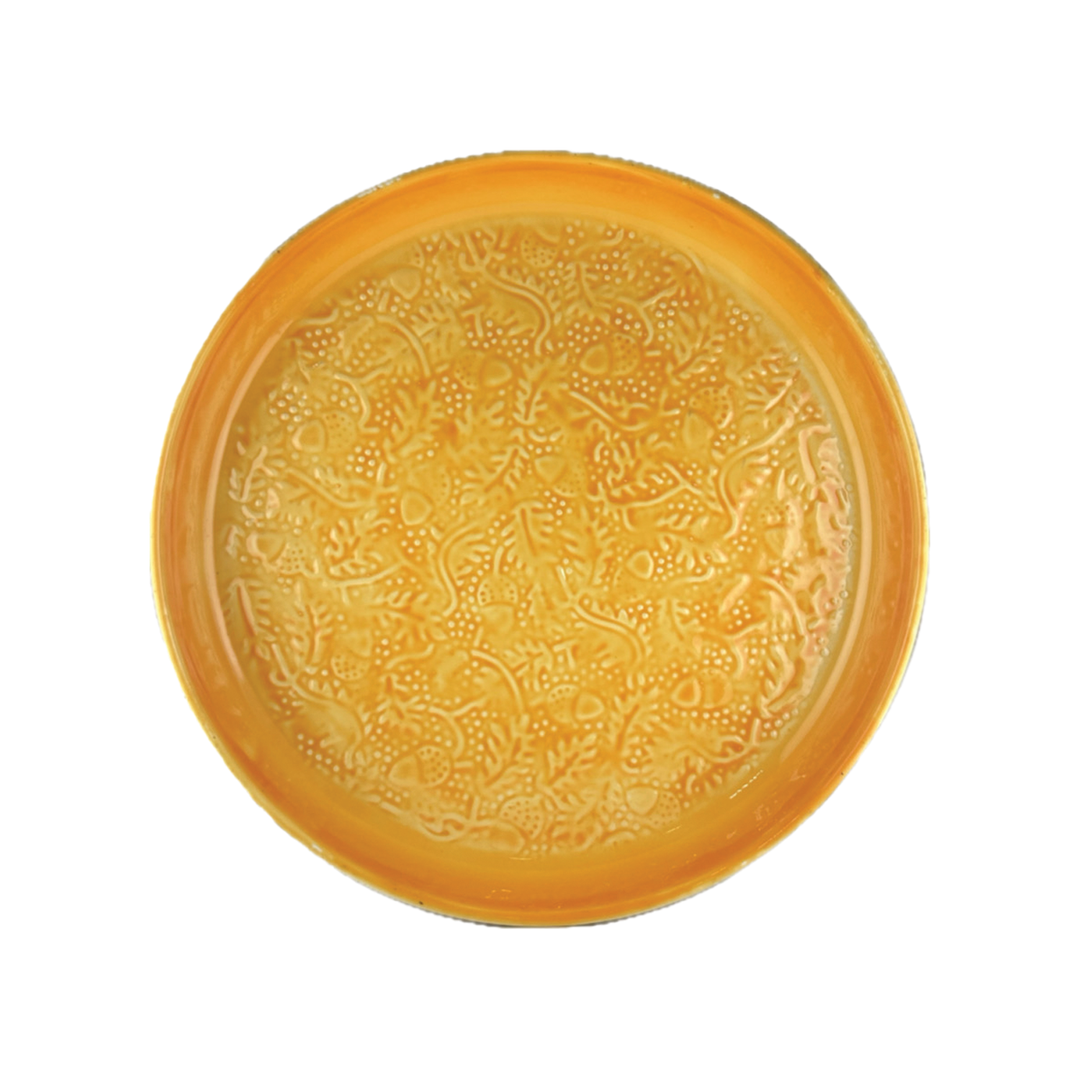 Colorful Enamel Iron Tray - Orange