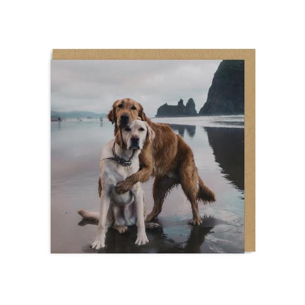 Beach Dogs Hug Greeting Card