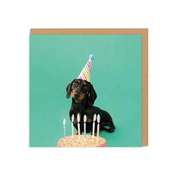 Scout Party Hat Birthday Card
