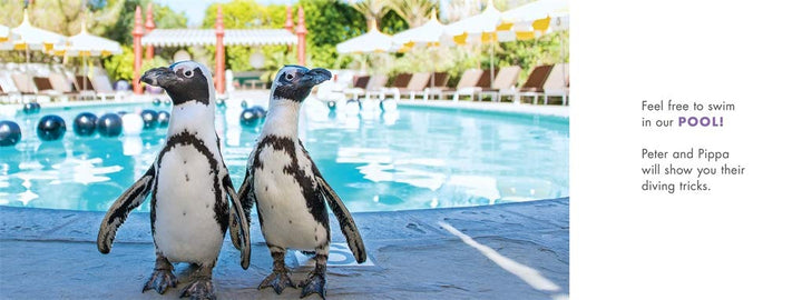 Gray Malin: Be Our Guest! - Not Your Ordinary Vacation
