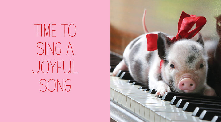 Pocket Piggies Christmas