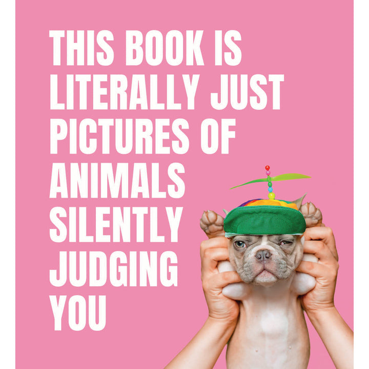 This Book Is Literally Just Pictures Of Animals Silently Judging You