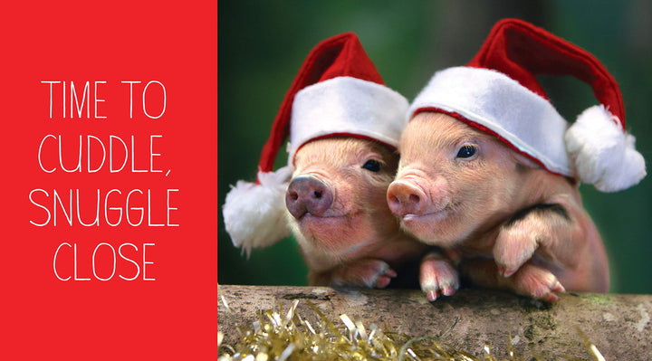 Pocket Piggies Christmas