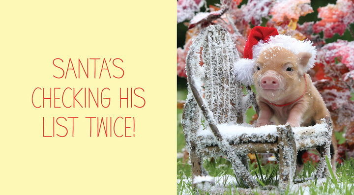 Pocket Piggies Christmas