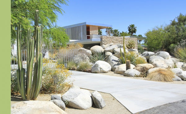 Palm Springs Midcentury Modern Postcard Book