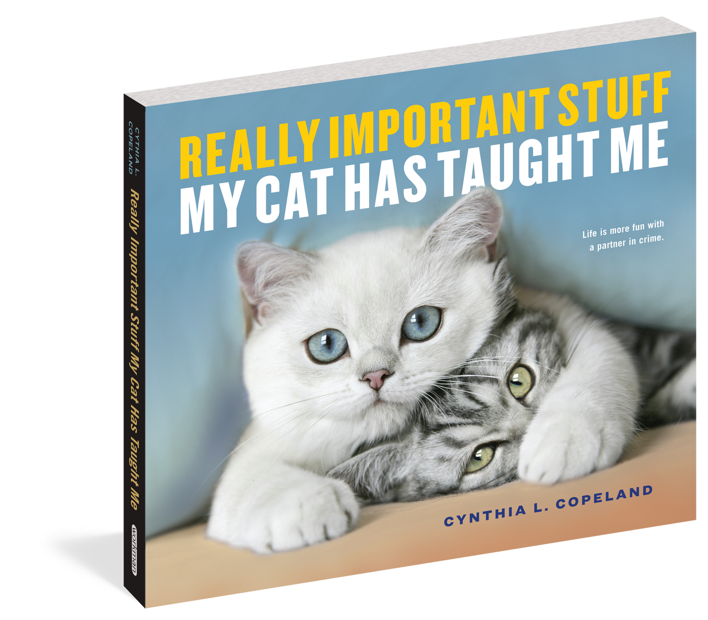 Really Important Stuff My Cat Has Taught Me book