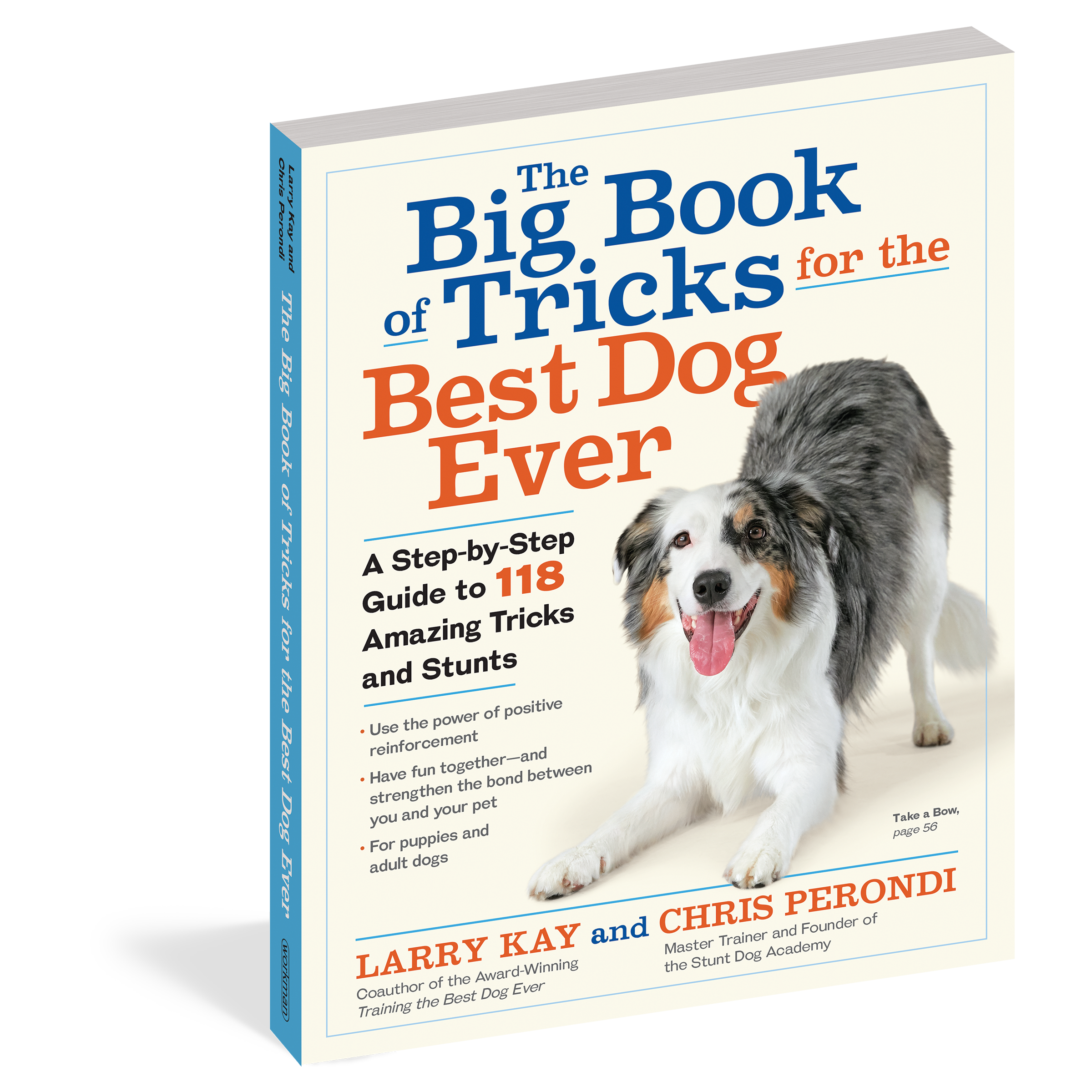 The Power of Positive Dog Training (Paperback)