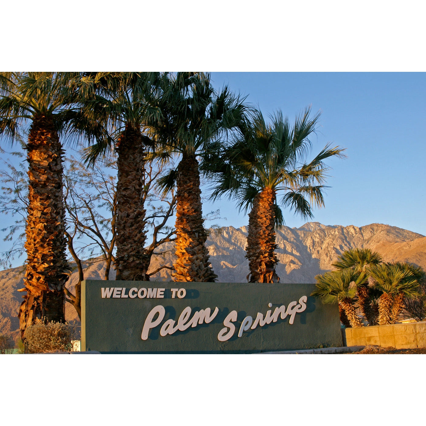 Welcome To Palm Springs - Retro Sign - Greeting Card