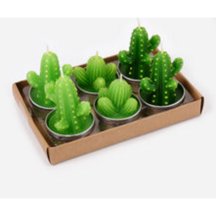 Cactus & Succulent T-light Set - Saguaros
