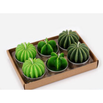 Cactus & Succulent T-light Set - Barrels