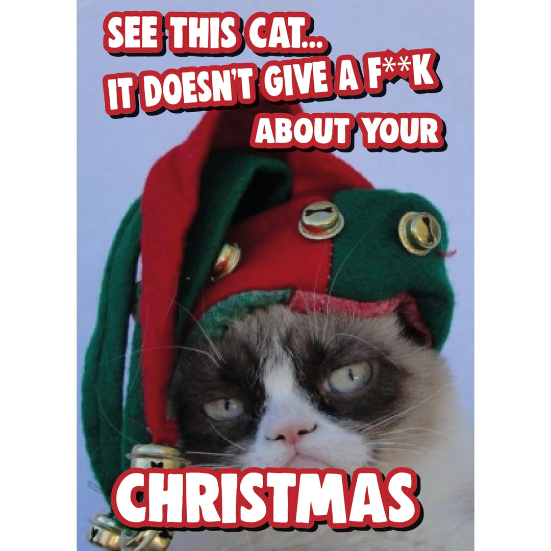 Cat Doesn't Give A F**K About Your Christmas Card