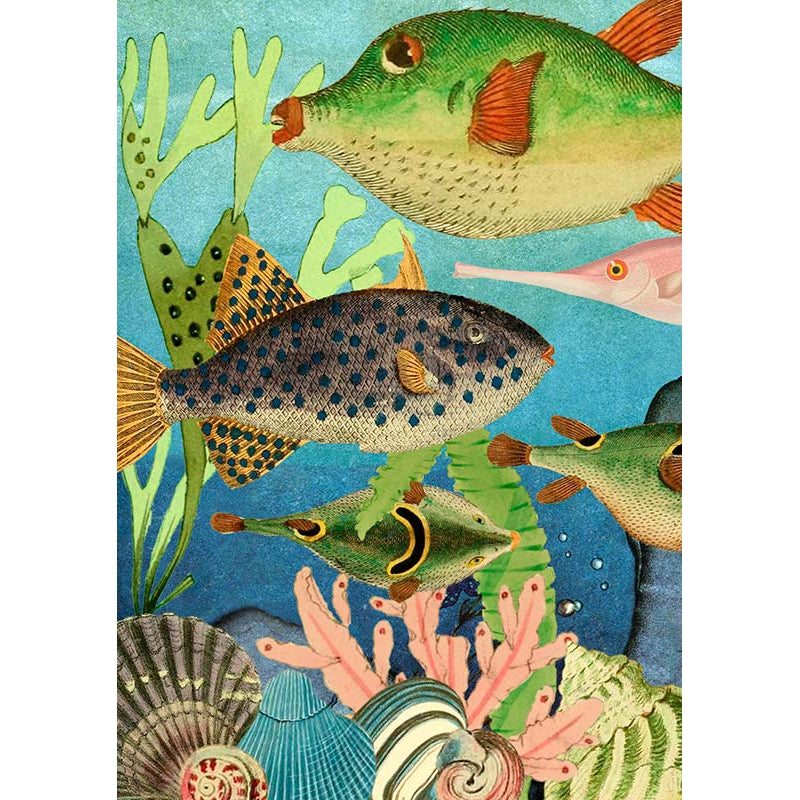 Sea Fish Blank Greeting Card