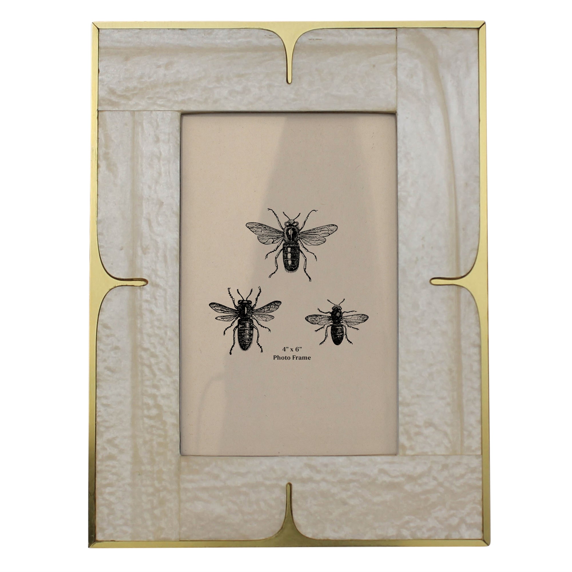 Resin & Brass Frame - 4x6