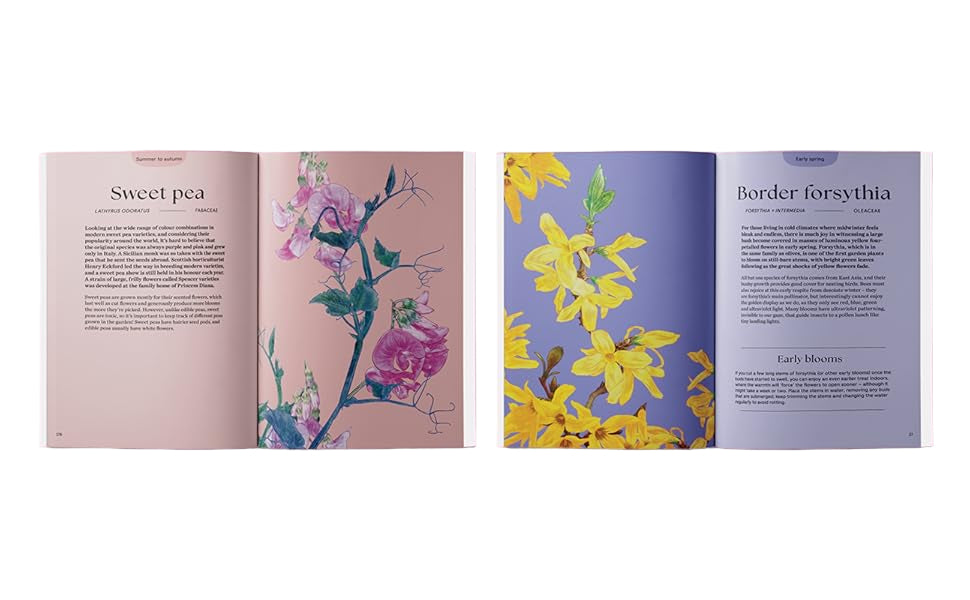 Blossom: Practical And Creative Ways To Find Wonder In The Floral World
