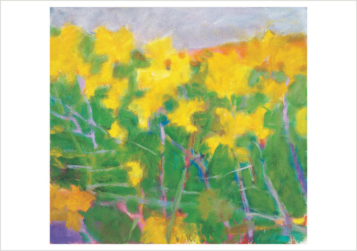 Wolf Kahn: The Seasons Boxed Notecard Assortment