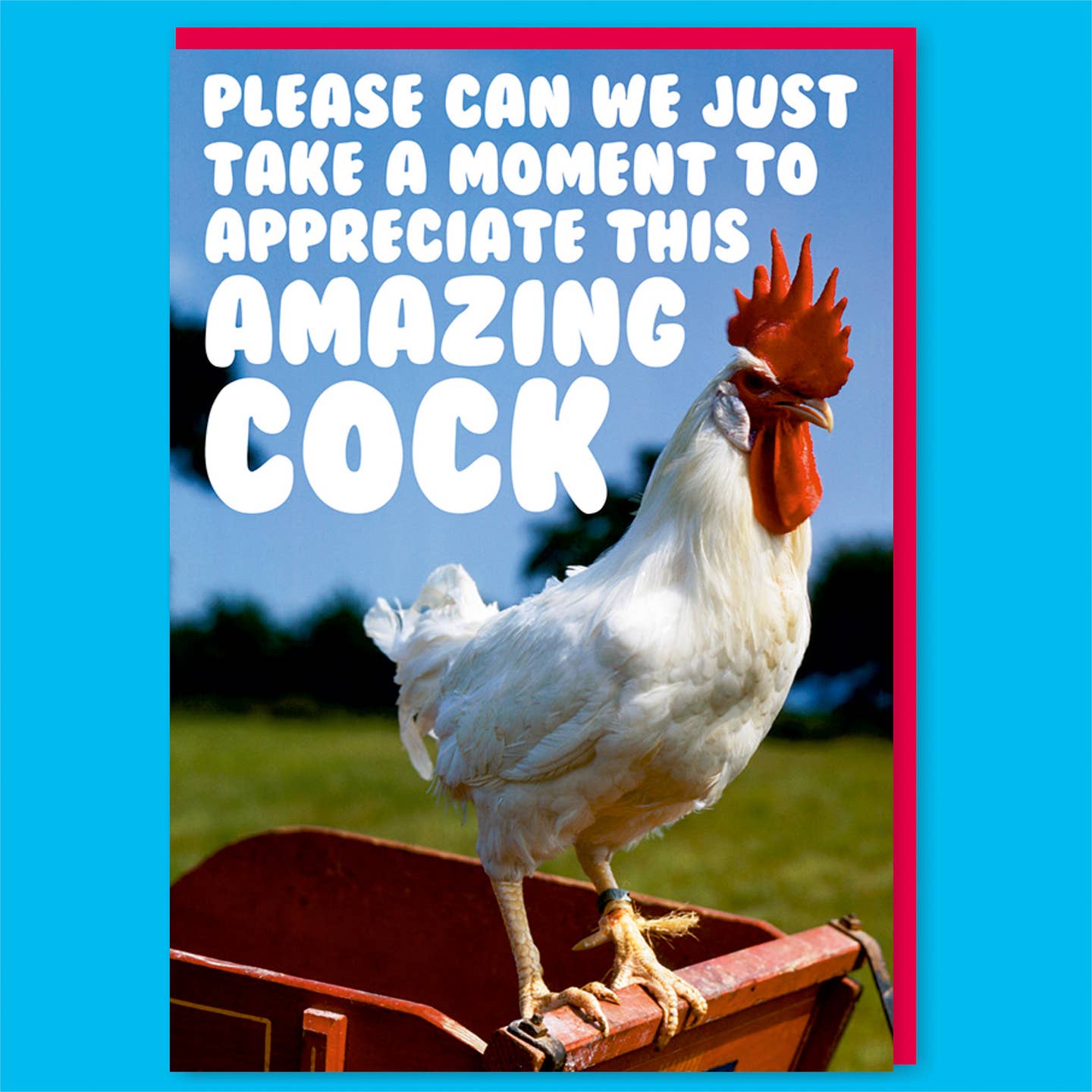 Appreciate This Amazing Cock Greeting Card - Just Fabulous Palm Springs