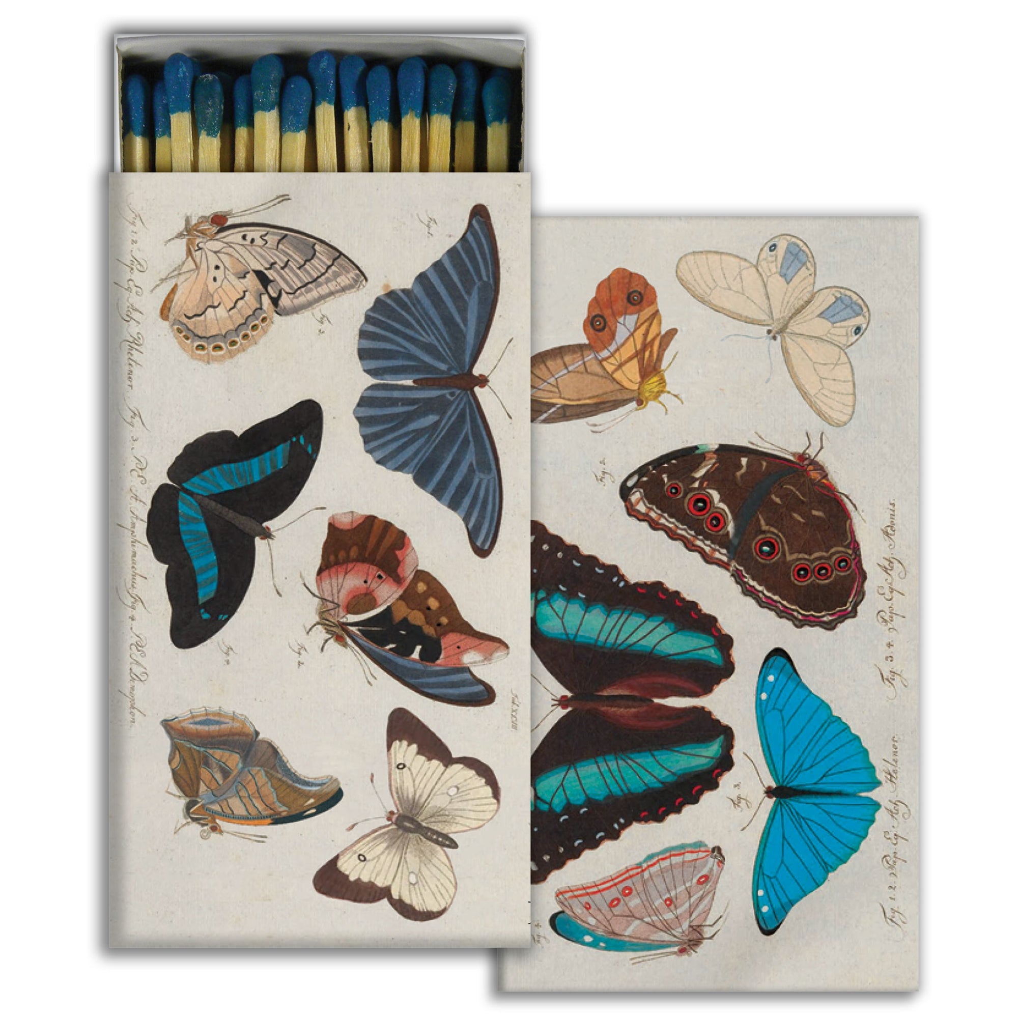 Blue Butterflies Matches - Just Fabulous Palm Springs