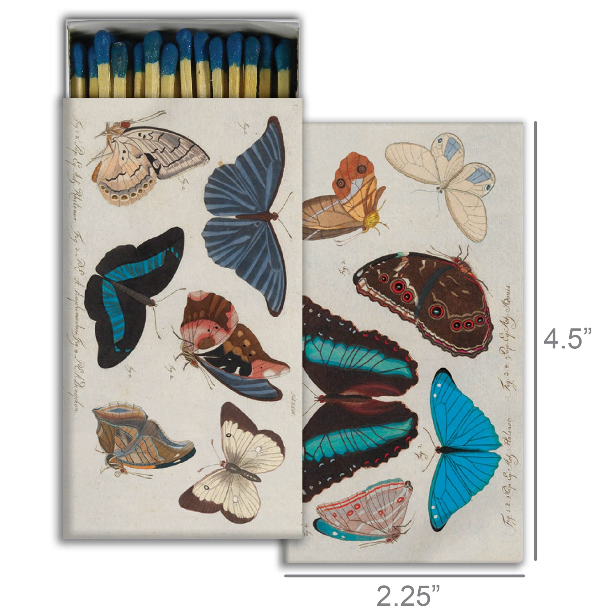 Blue Butterflies Matches - Just Fabulous Palm Springs