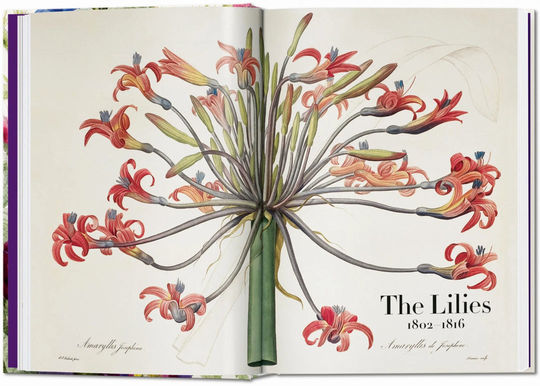 45th Anniversary: Redouté - The Book of Flowers