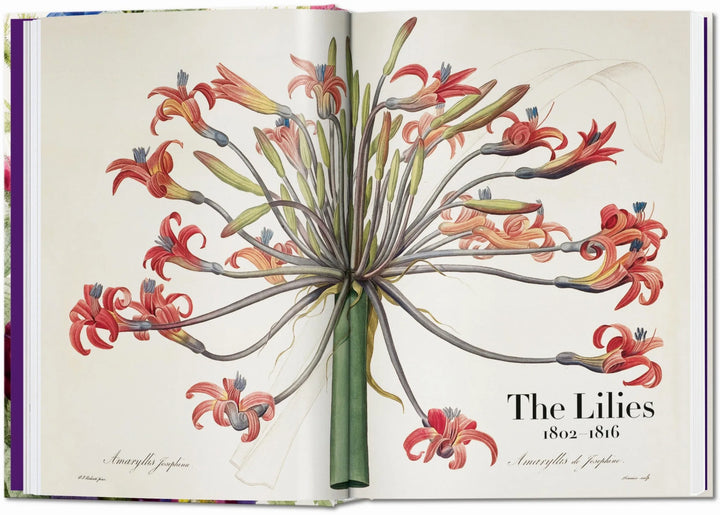 45th Anniversary: Redouté - The Book of Flowers