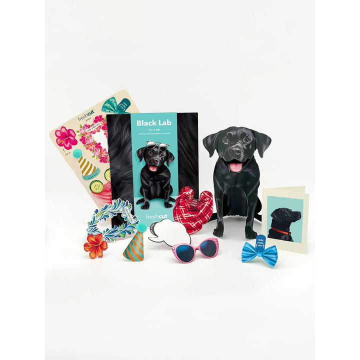 Black Lab Pop-Up Card