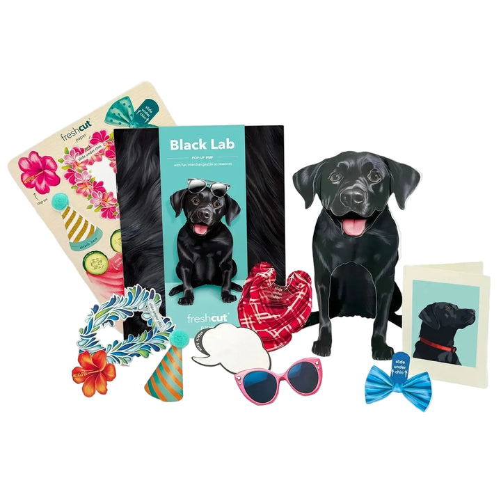 Black Lab Pop-Up Card