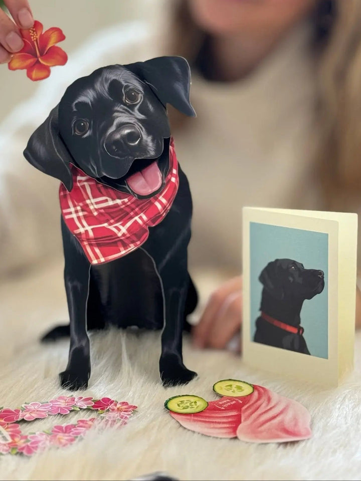 Black Lab Pop-Up Card